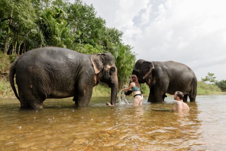 Khaosok Elephant Conservation Centre