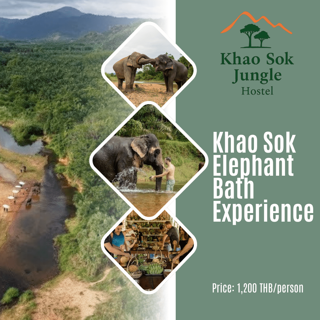Ethical Khao Sok Elephant Bath Experience at Khao Sok Elephant Conservation Centre - 1,200 THB per person