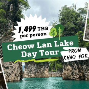 Cheow Lan Lake Full Day Tour from Khao Sok Jungle Hostel - 1,499 THB per person