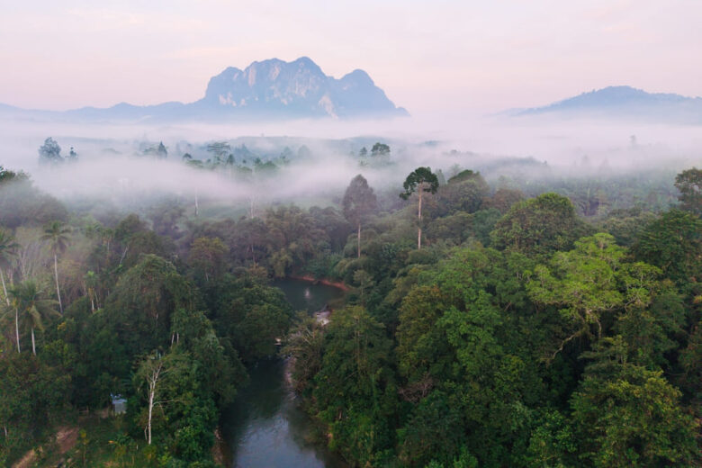 An aerial view of the stunning Khao Sok jungle in the morning light