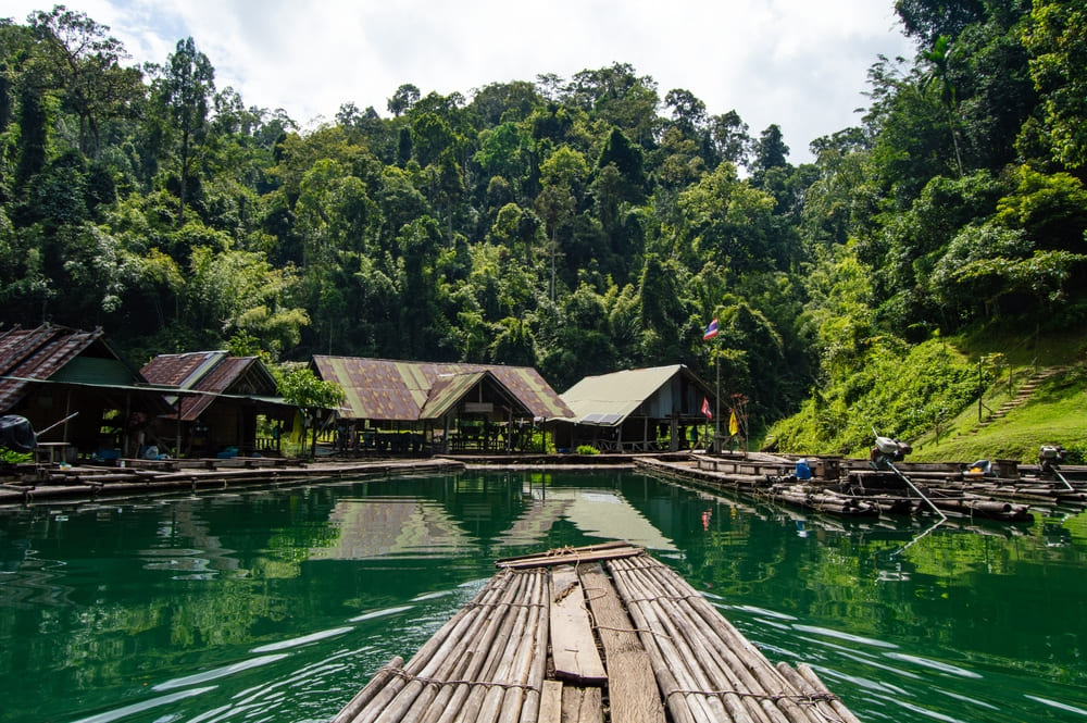 Bamboo rafting on Cheow Lan Lake at Khao Sok National Park