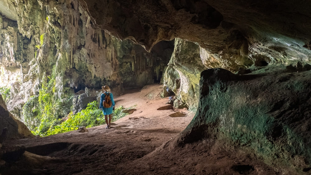 First-time visitors on a guided jungle trek, one of the best things to do in Khao Sok
